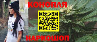 эйфоретик Гай