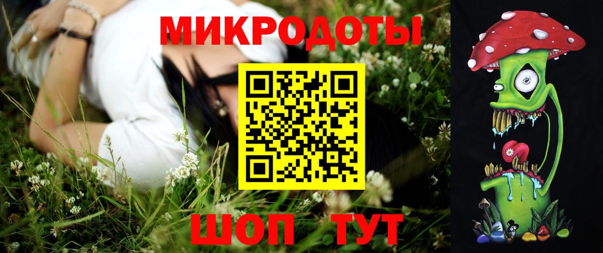 дарнет шоп  Псилоцибиновые грибы Psilocybe  Вход с VPN  Камень-на-Оби  Псилоцибиновые грибы прущие грибы 